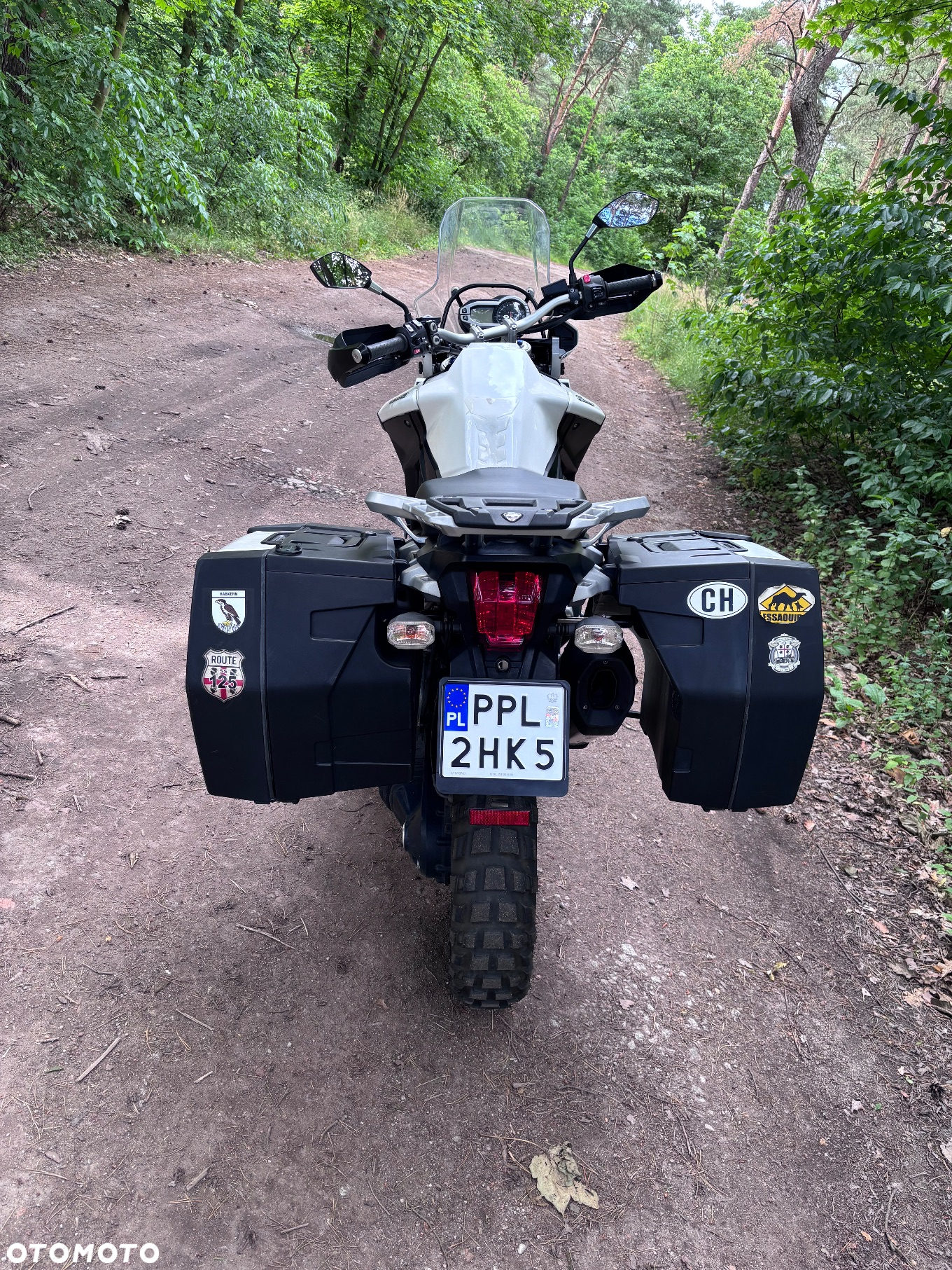 Triumph Tiger - 7