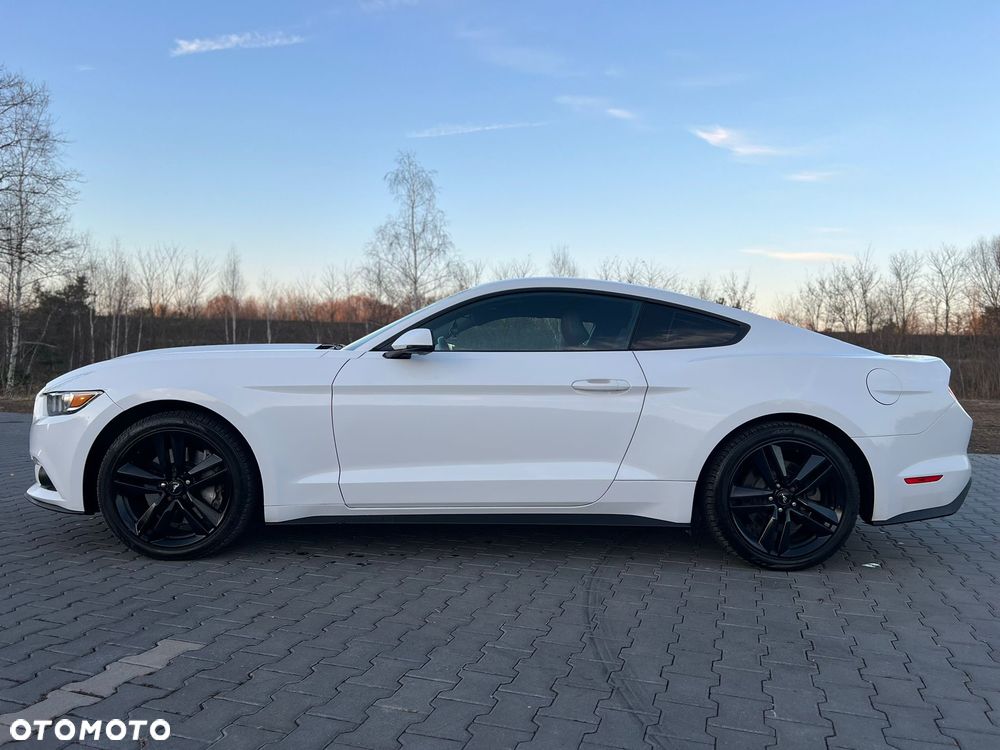 Ford Mustang 2.3 EcoBoost - 17