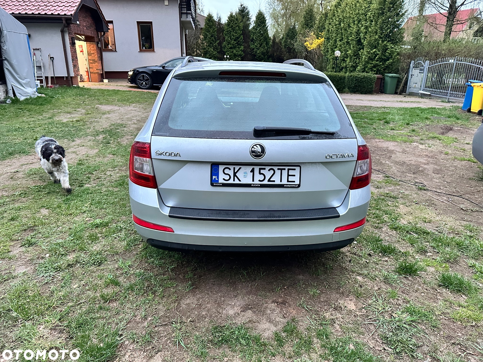 Skoda Octavia 2.0 TDI Elegance - 5