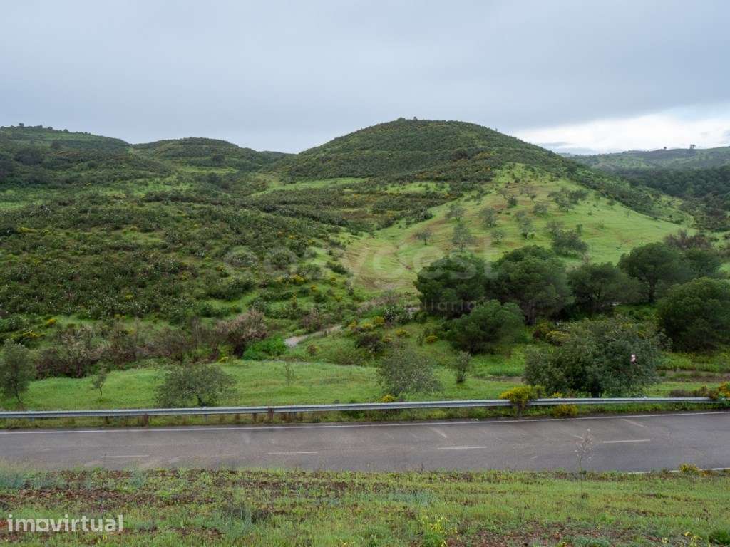 Terreno rustico 5,58 ha Vale Frio, Castro Marim - Grande imagem: 4/43