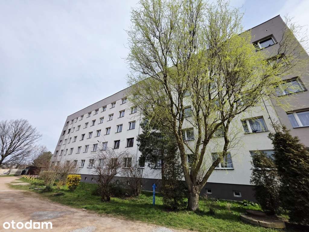 Mieszkanie na parterze 36m2