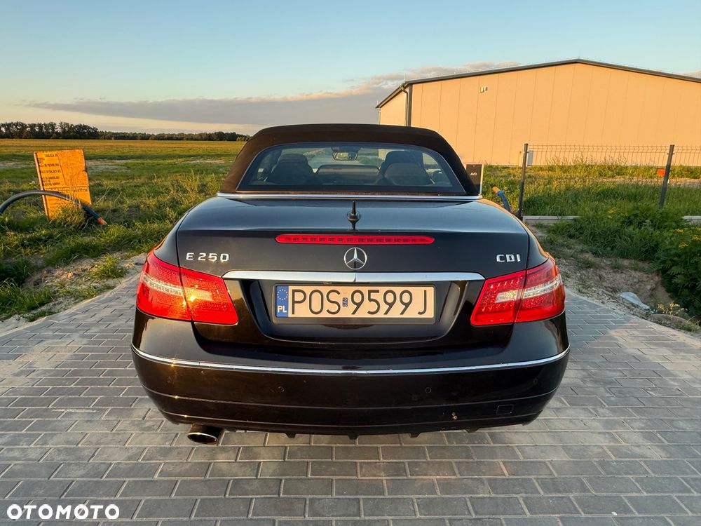 Mercedes-Benz Klasa E ver-250-cdi-blueeff - 7