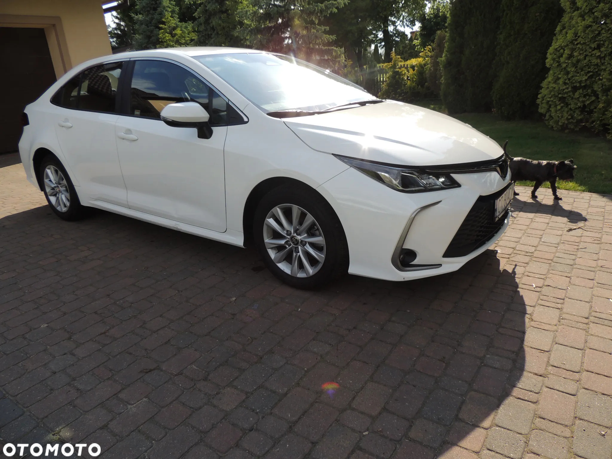 Toyota Corolla 1.5 Comfort - 5