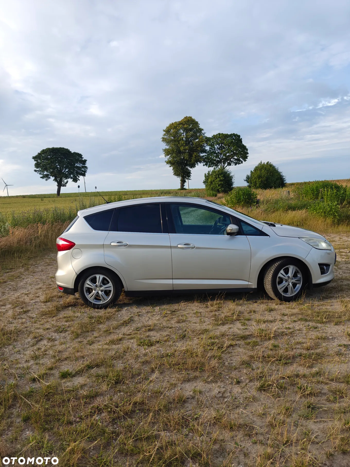 Ford C-MAX 2.0 TDCi Titanium - 6
