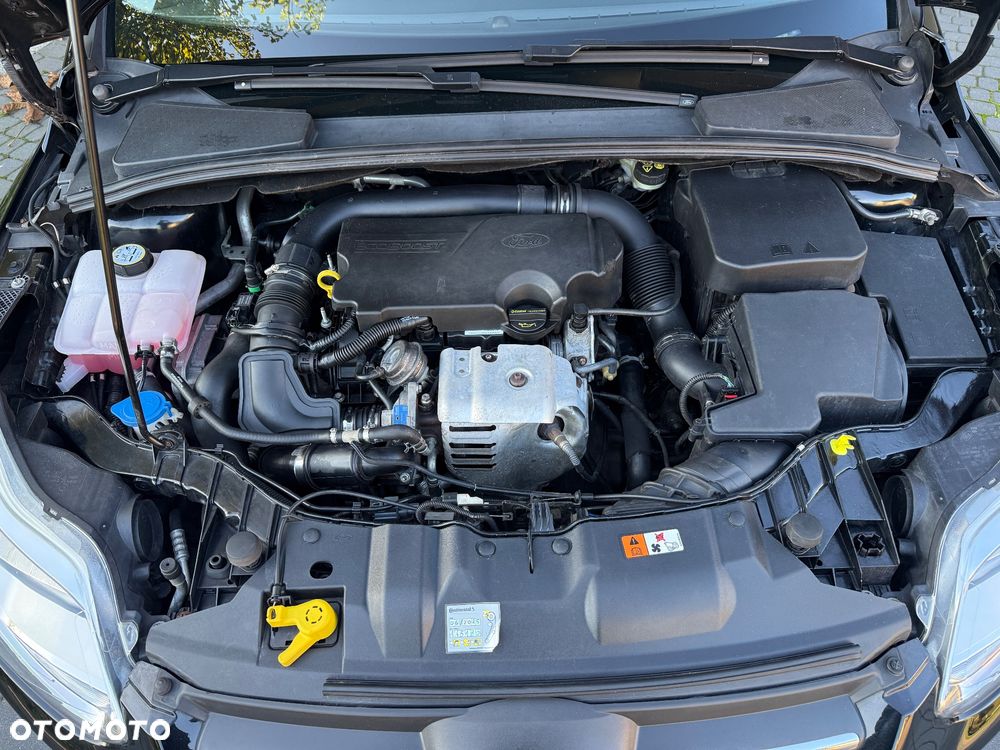 Ford Focus - 23