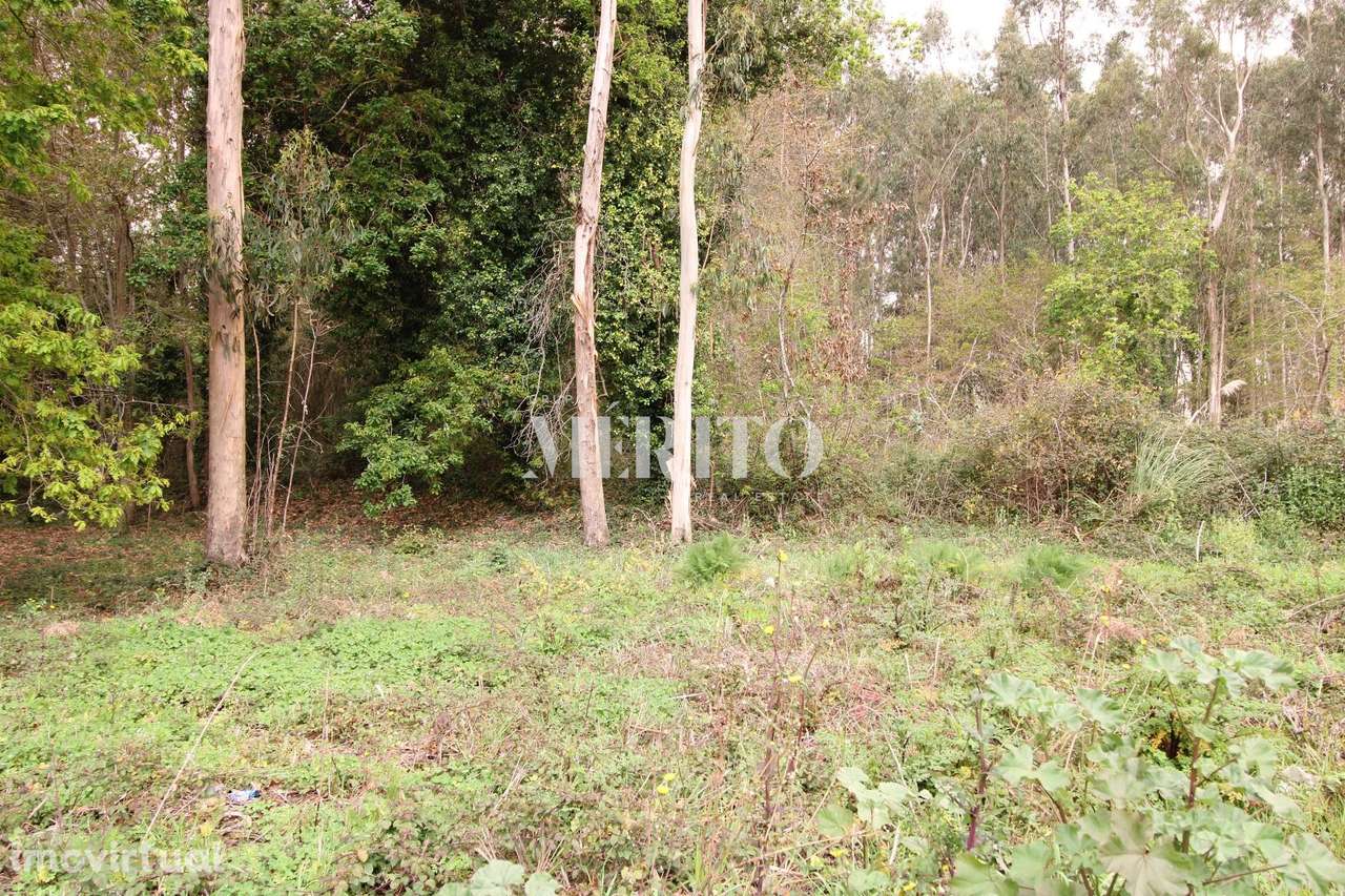 Terreno Misto com área de 21.000m2- Aveleda - Vila do Conde - Grande imagem: 3/16