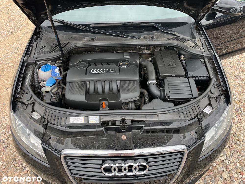 Audi A3 Sportback 1.6 Attraction - 24