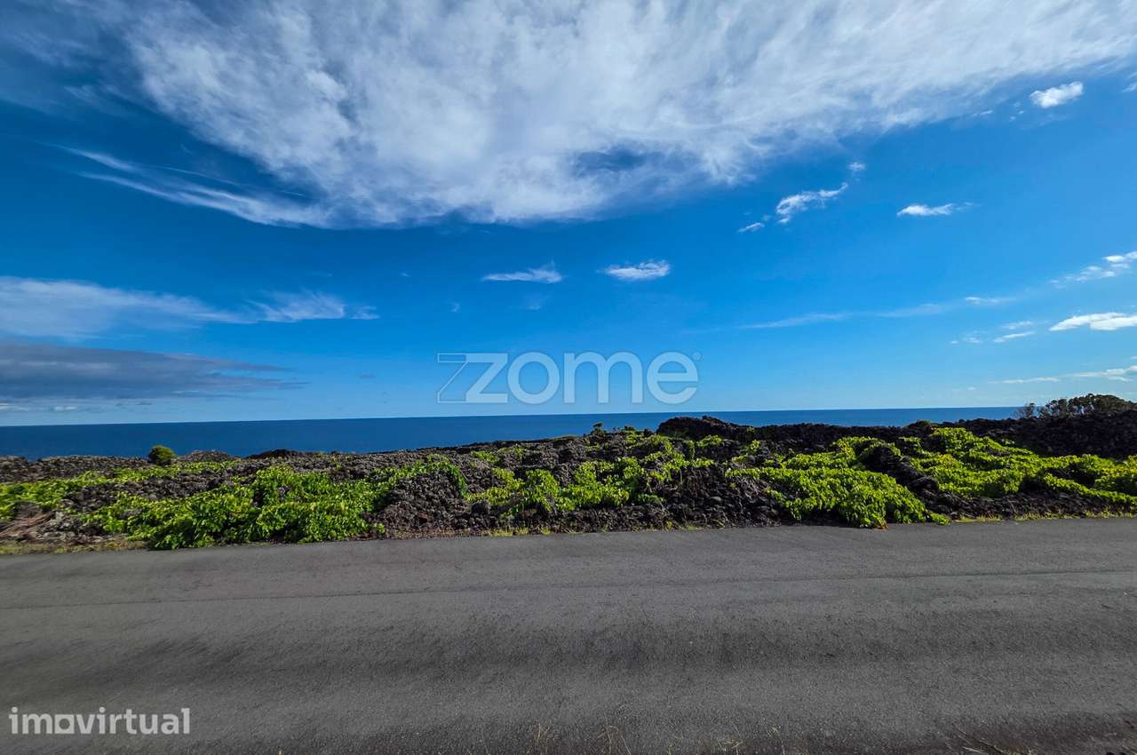 Terreno de vinhas com 1.467 m2, em São Caetano na Ilha do Pico - Grande imagem: 5/12