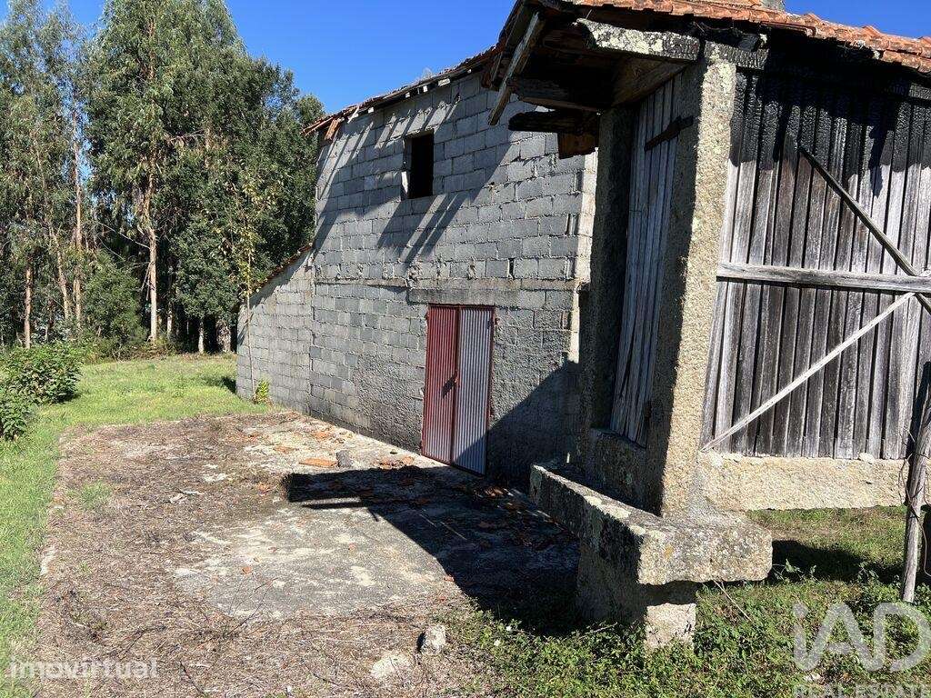 Terreno para construção em Serrazes - Grande imagem: 5/15