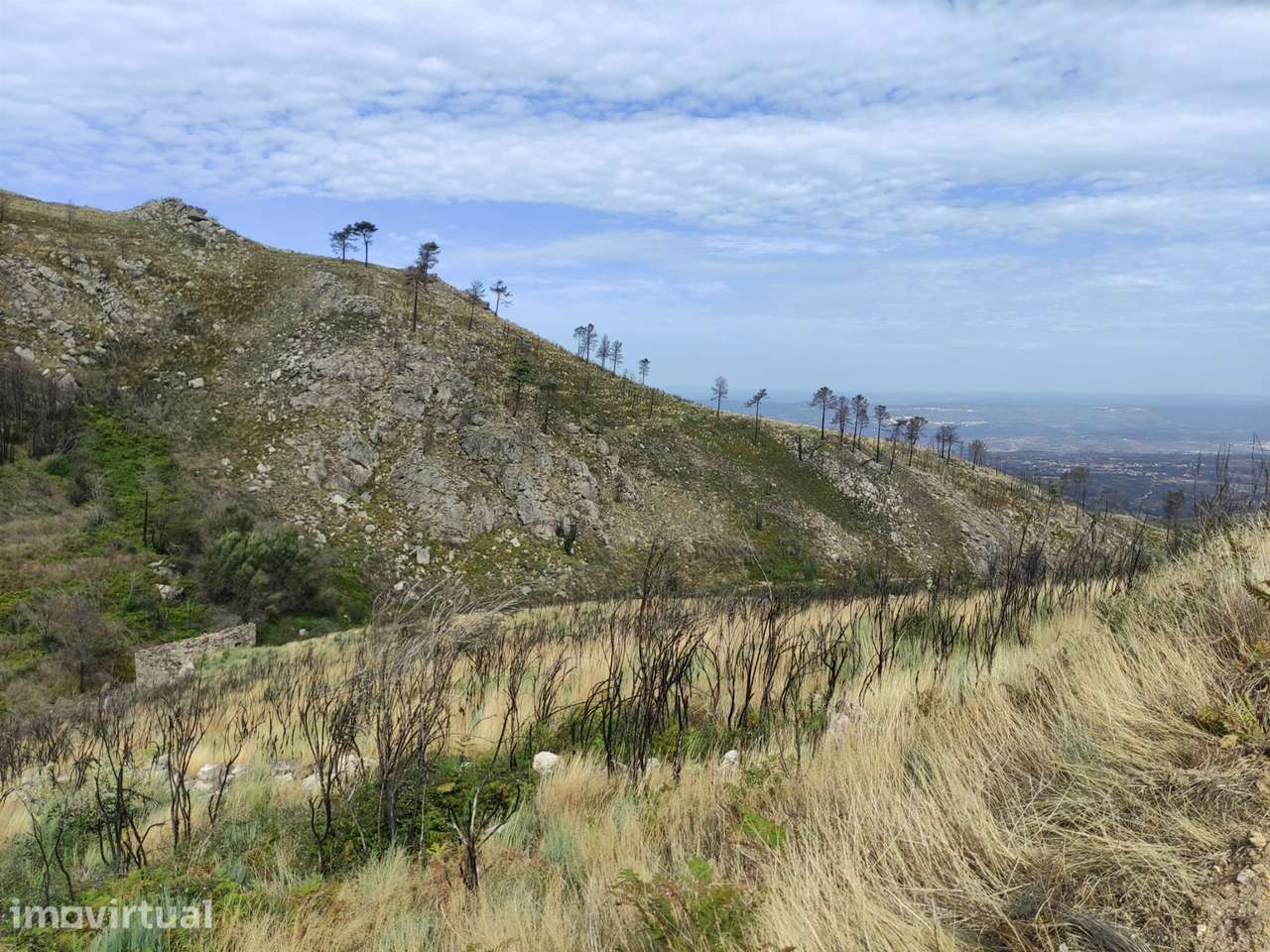 Quinta  Venda em Figueiró da Serra e Freixo da Serra,Gouveia - Grande imagem: 2/6