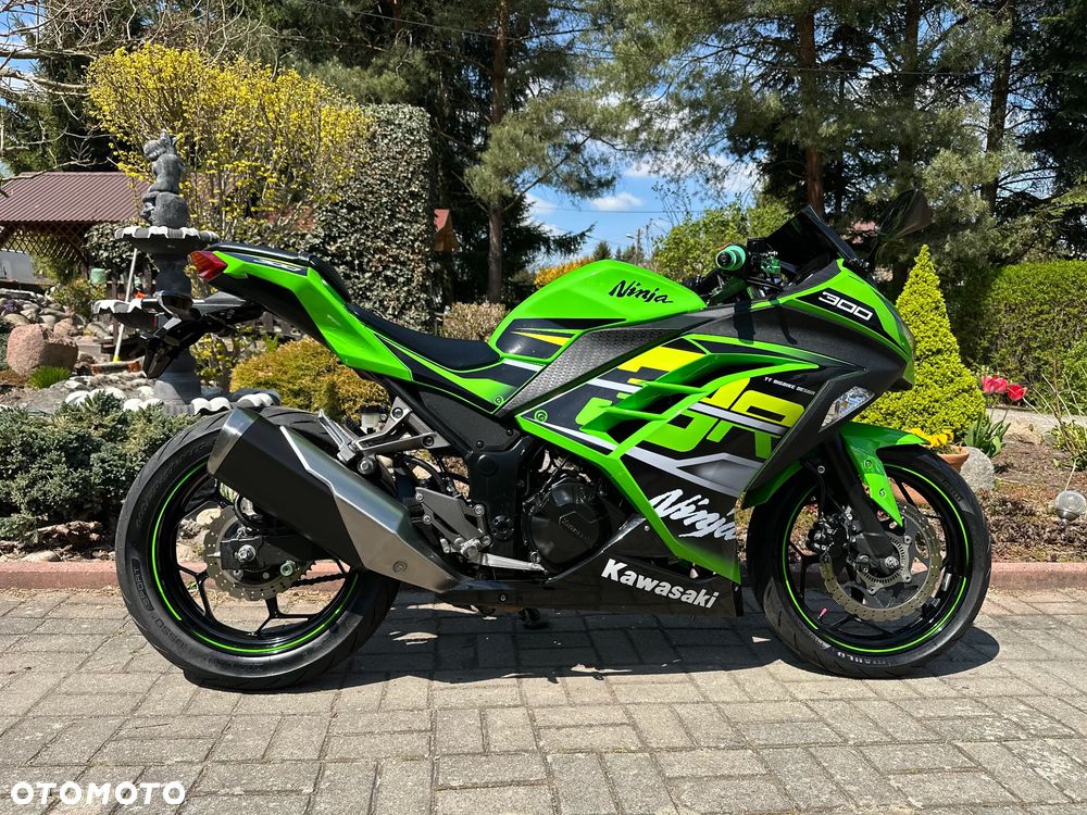 Kawasaki Ninja 300 ABS - 2