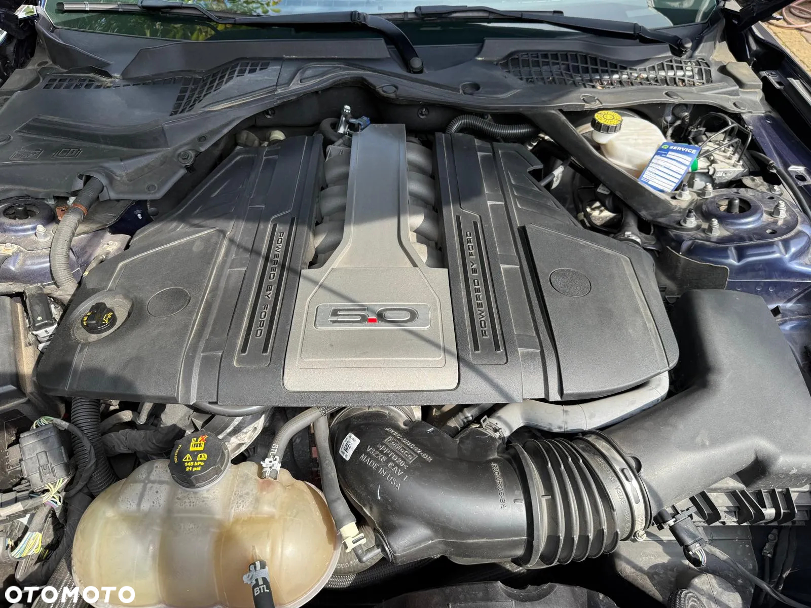 Ford Mustang 5.0 Ti-VCT V8 GT - 5