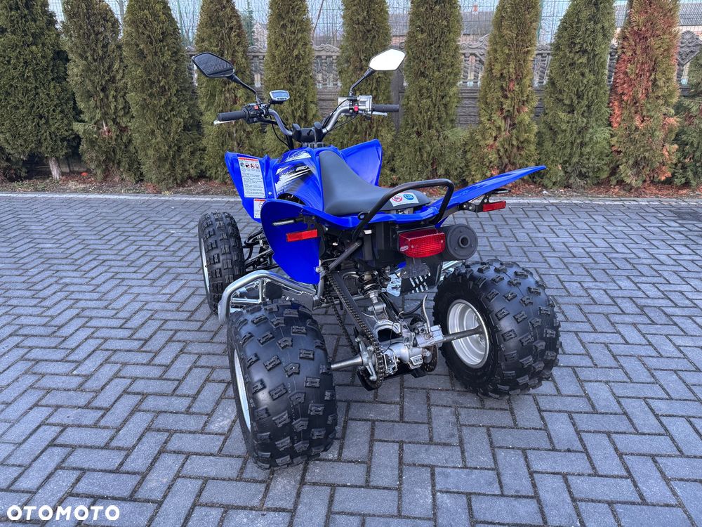Yamaha Raptor - 10