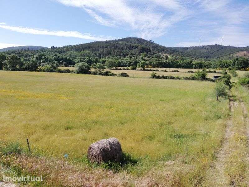 Quinta em Meimoa 9 ha - Grande imagem: 4/11