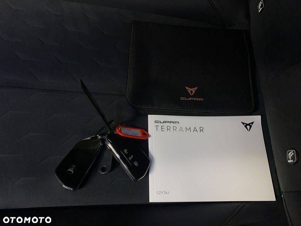 Cupra Terramar - 41
