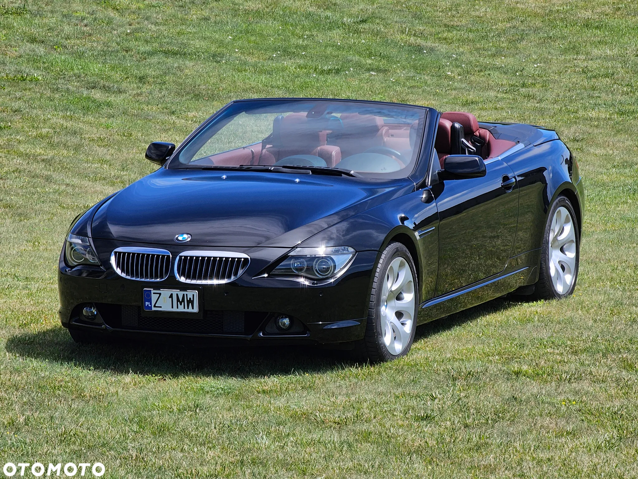 BMW Seria 6 650 i - 2
