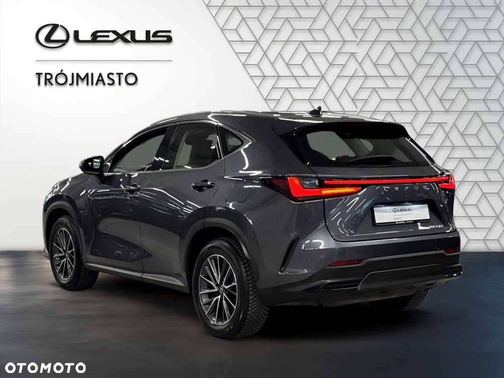 Lexus NX 350h Business AWD - 4