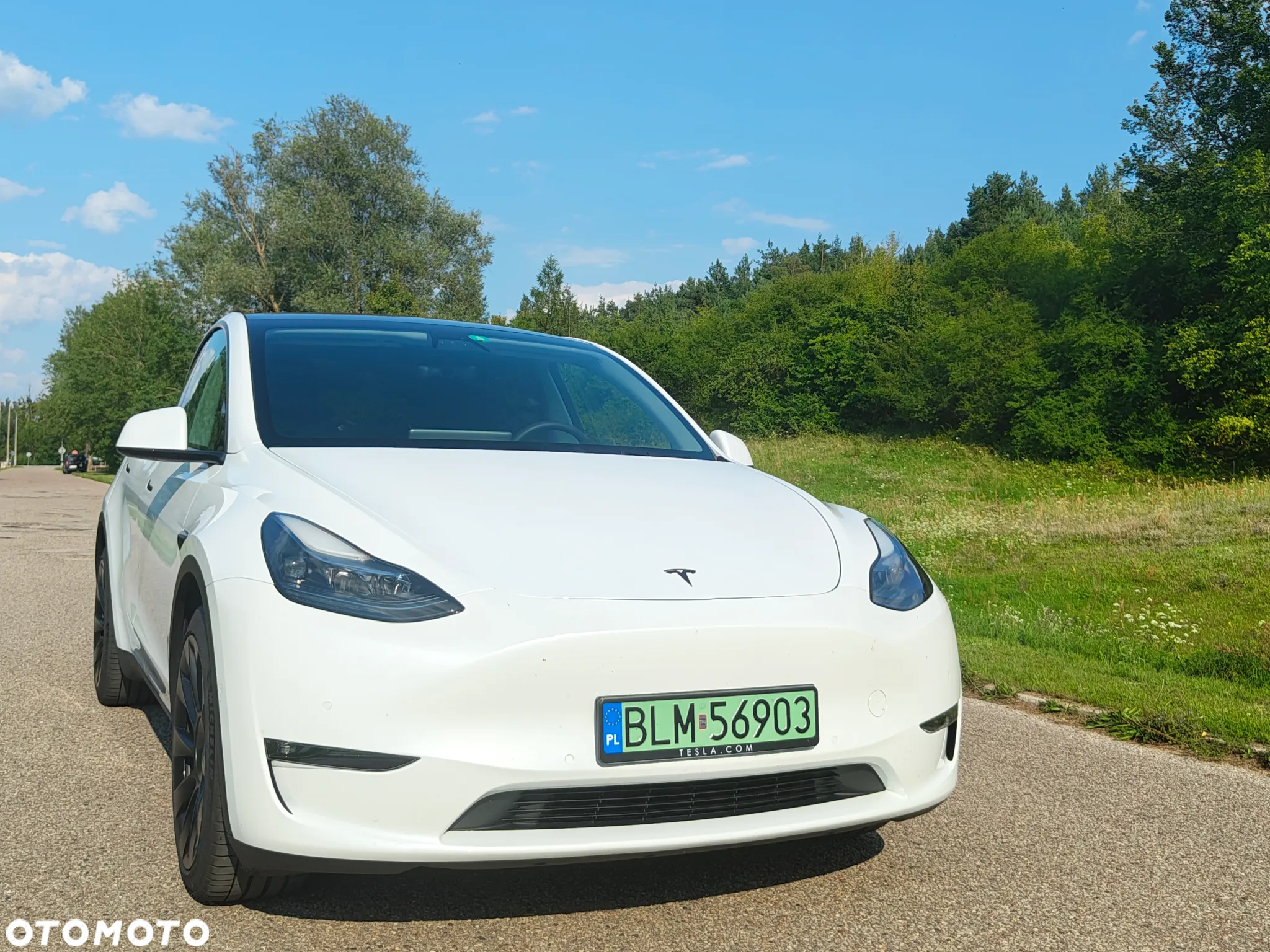 Tesla Y Model Long Range Dual Motor AWD - 3