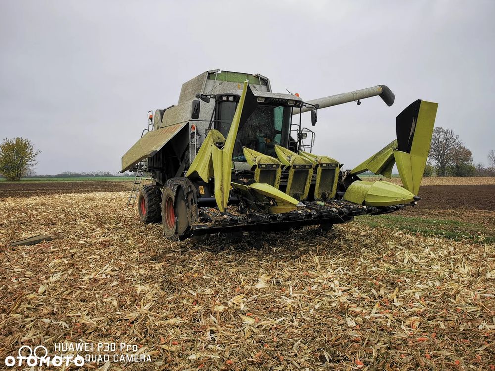 Oros Cornado 6 4+2R Nowa Przystawka do kukurydzy - 8
