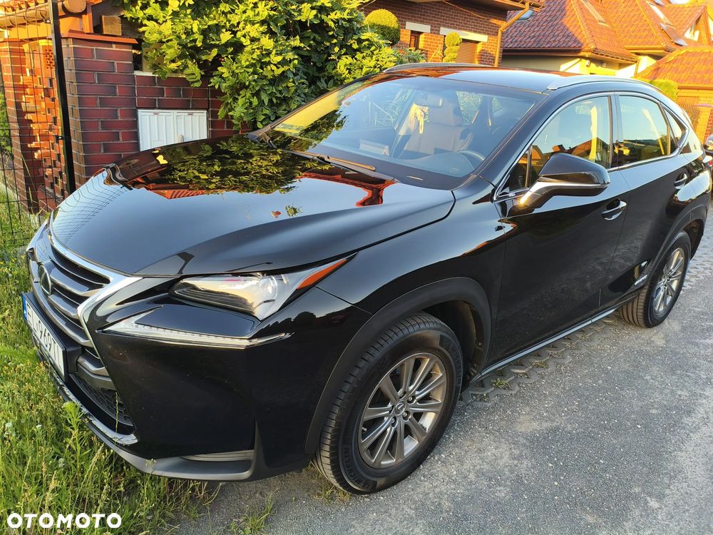 Lexus NX 300h Elite AWD - 31