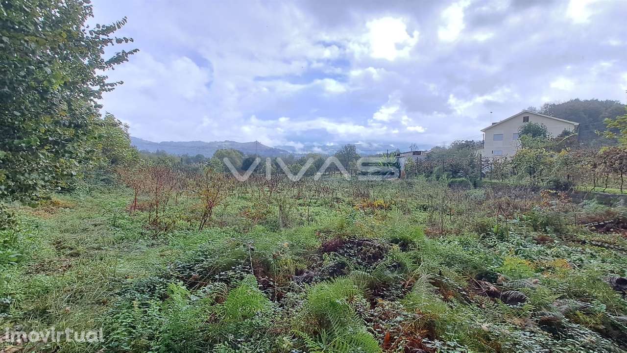 Terreno  Venda em Prado (São Miguel),Vila Verde - Grande imagem: 3/5