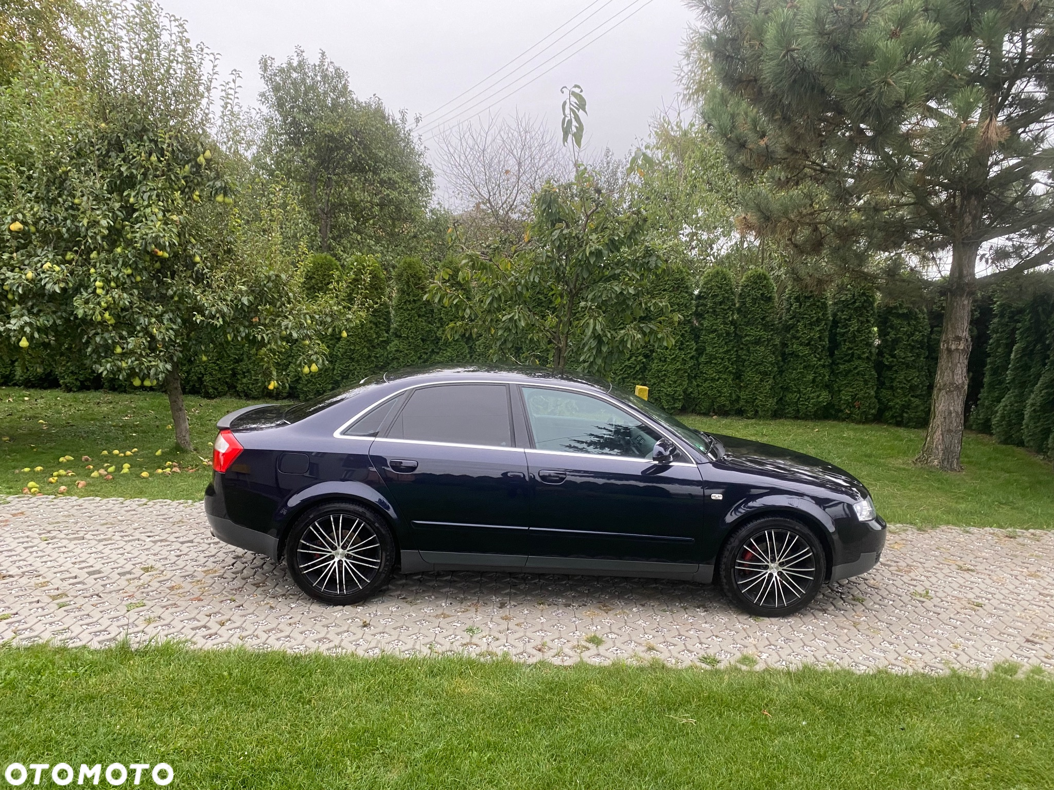 Audi A4 - 6
