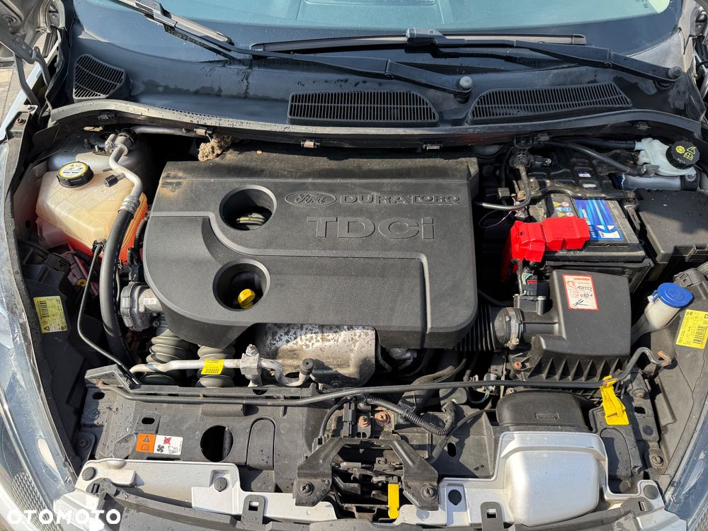 Ford Fiesta - 11
