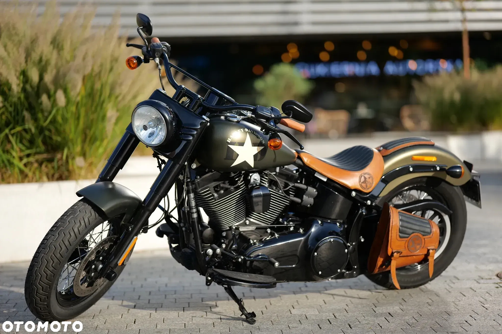 Harley-Davidson Softail Slim - 22