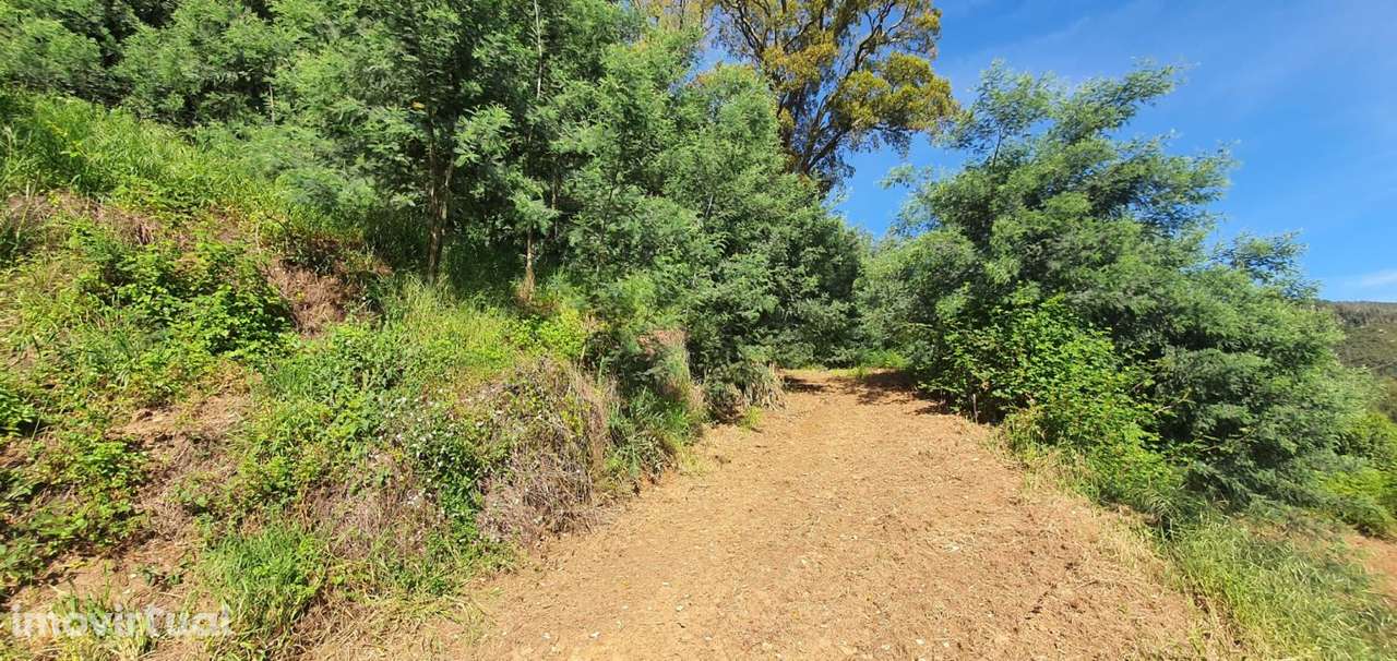 Excelente Terreno com acesso feito ao rio - Grande imagem: 4/9