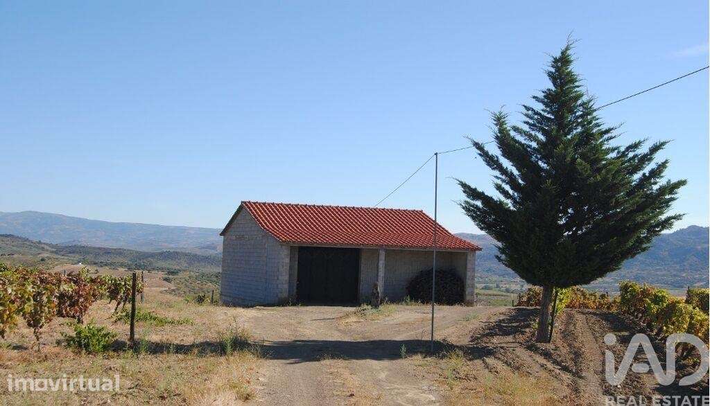 Terreno Agrícola em Vila Flor e Nabo - Grande imagem: 2/8