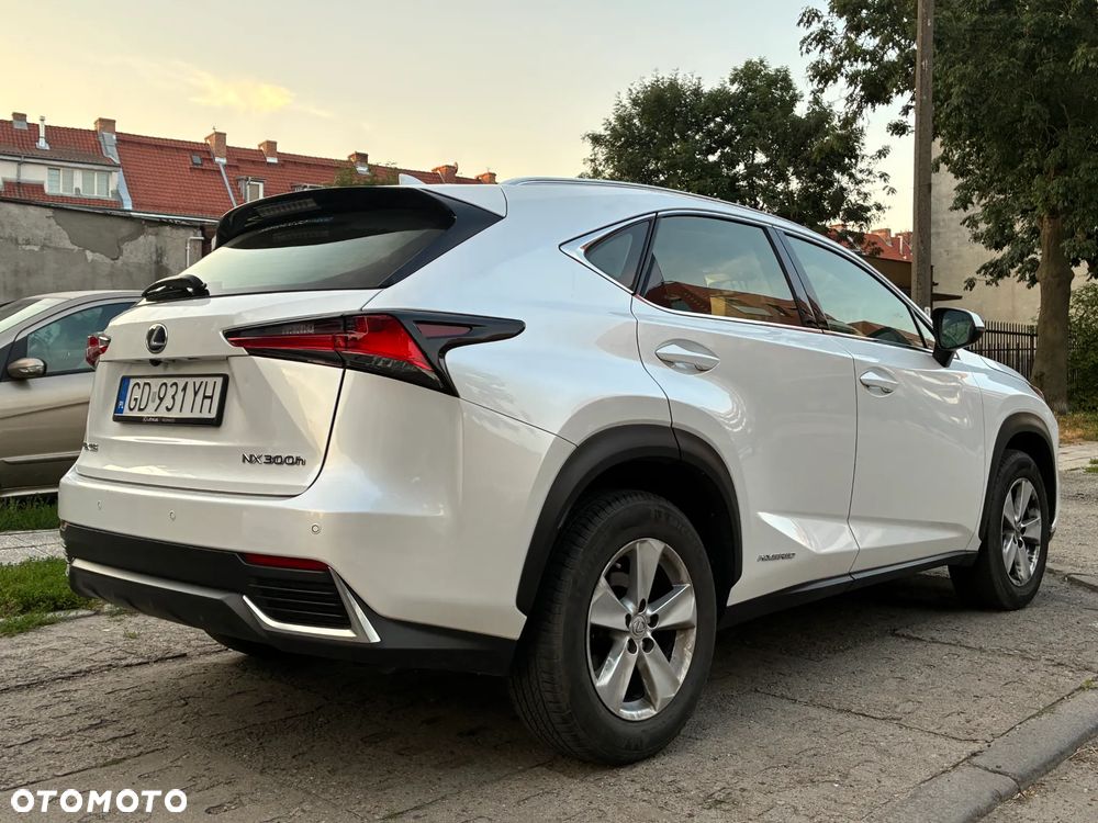 Lexus NX 300 Business Edition AWD - 20