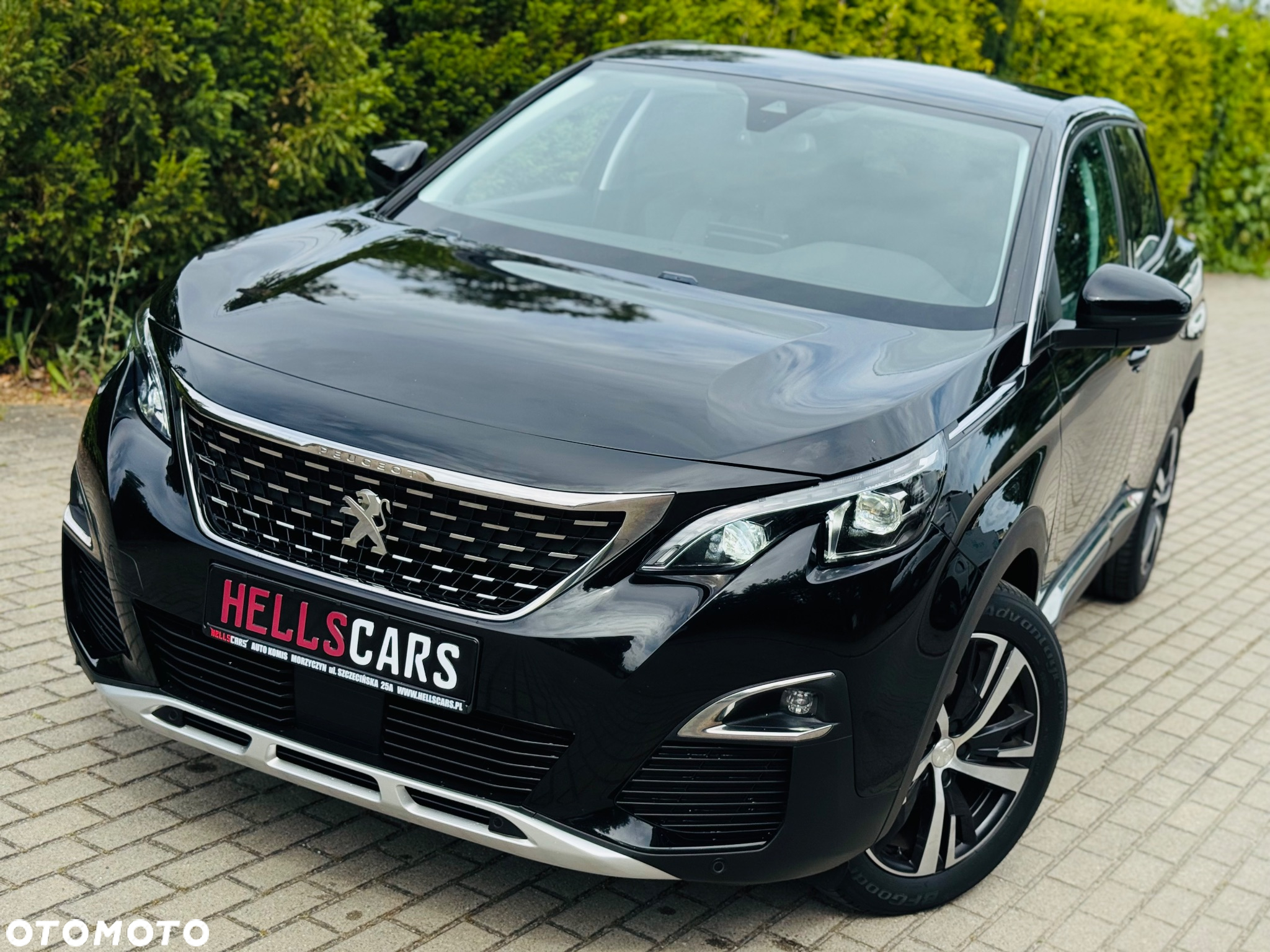 Peugeot 3008 1.5 BlueHDi GT Pack S&S EAT8 - 16