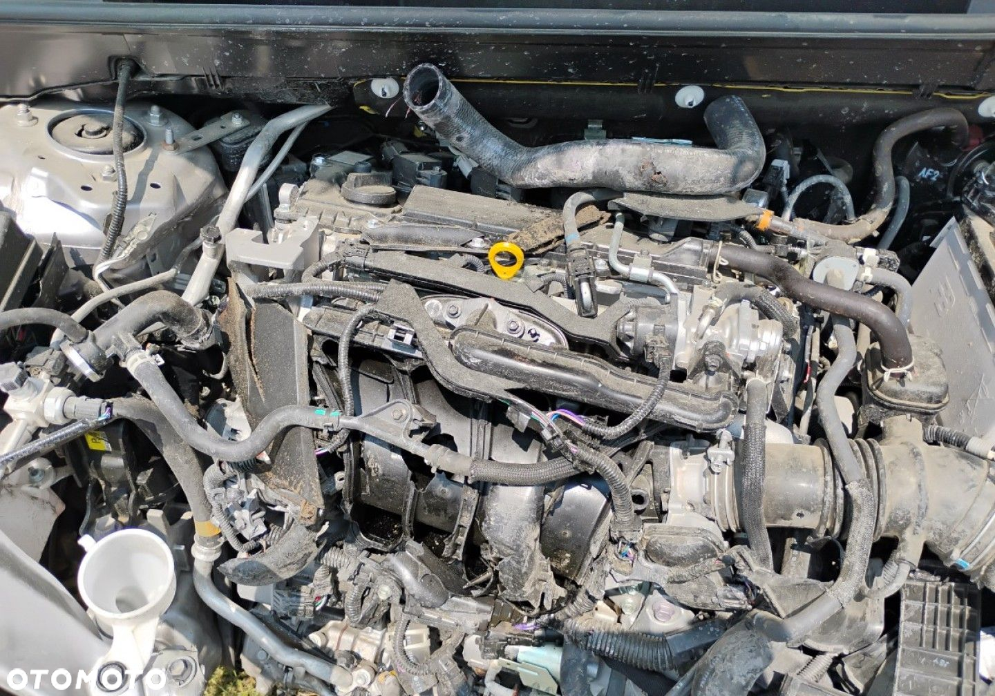 Toyota RAV4 - 21