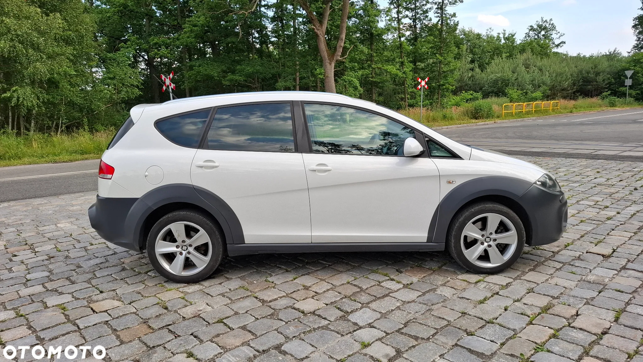 Seat Altea XL 2.0 TDI 4x4 Freetrack - 10