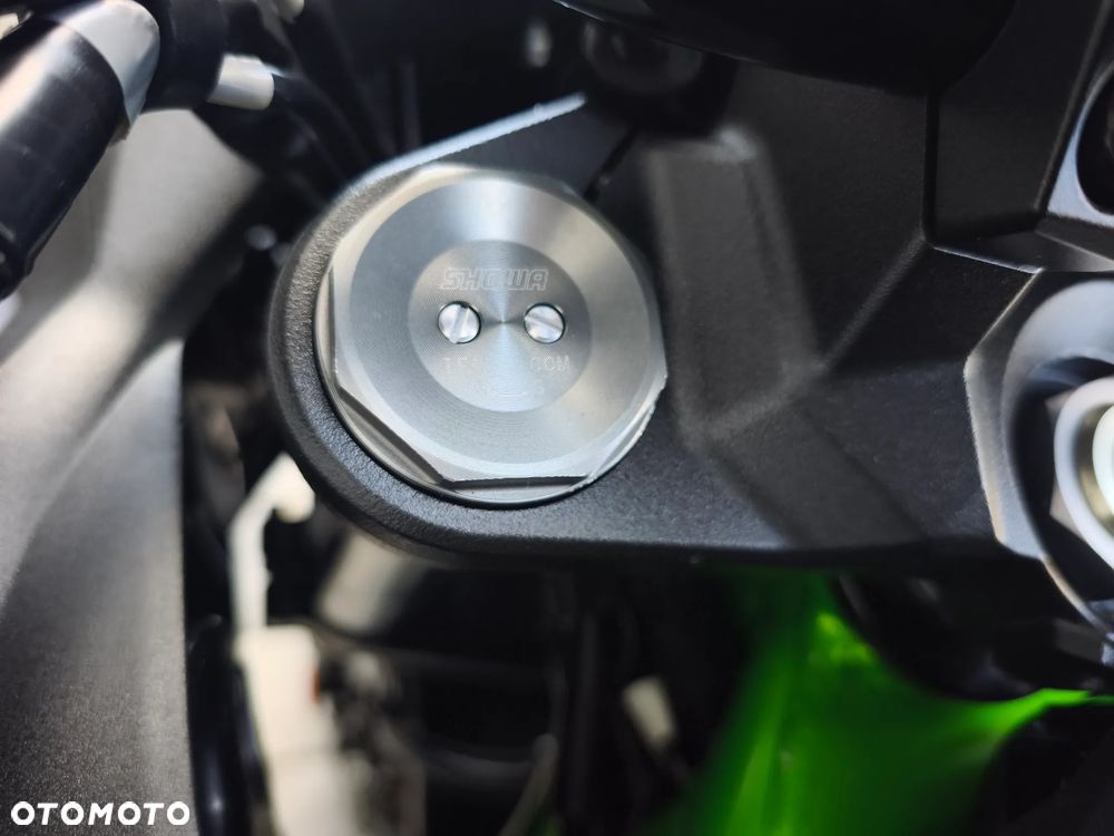 Kawasaki H2 - 17
