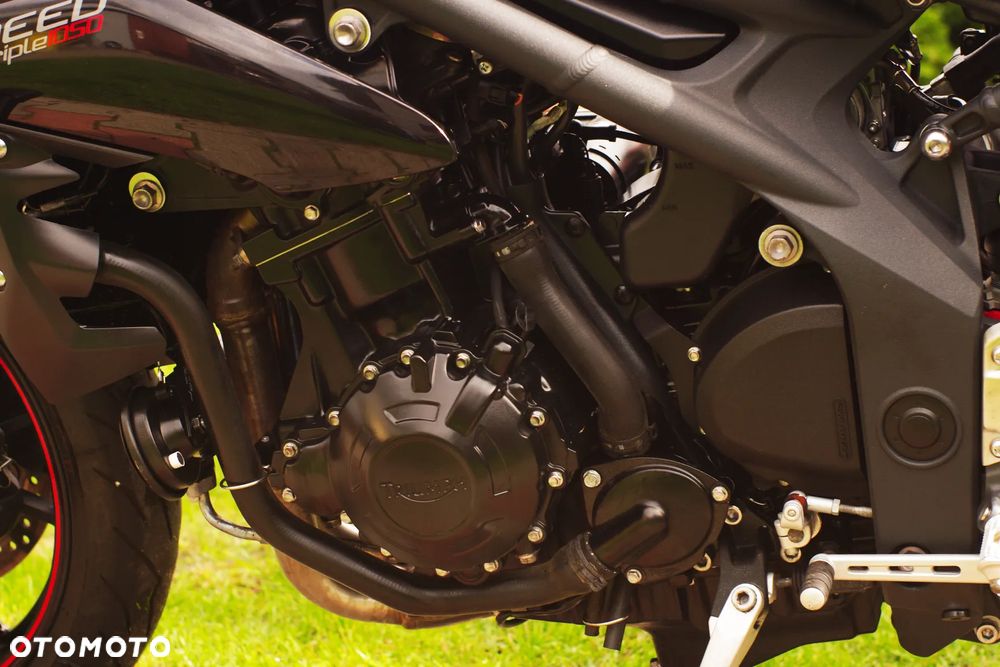 Triumph Speed Triple - 30