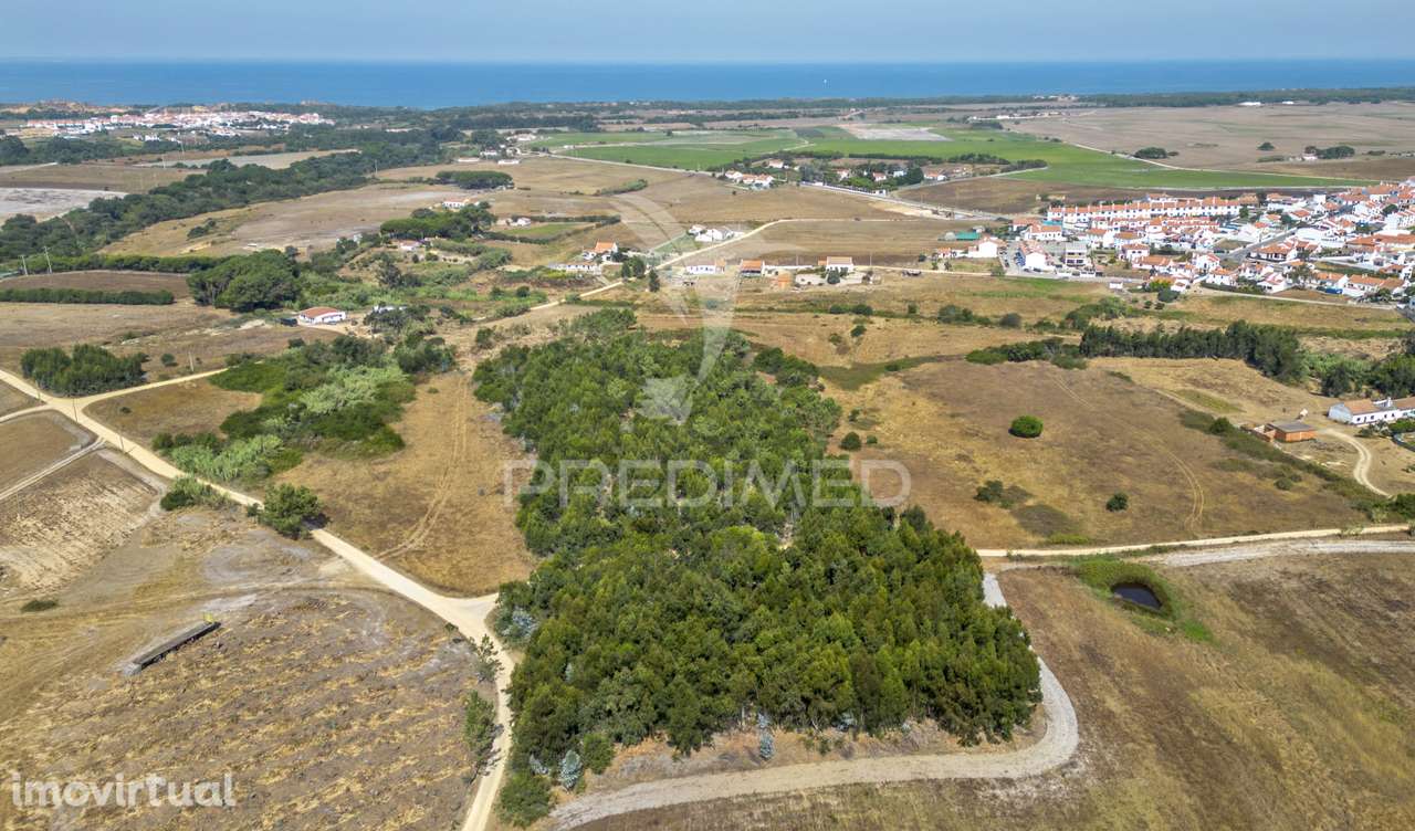 Quinta com 4,9000 ha e ruina de 47,3 m2 em Longueira - Grande imagem: 5/22
