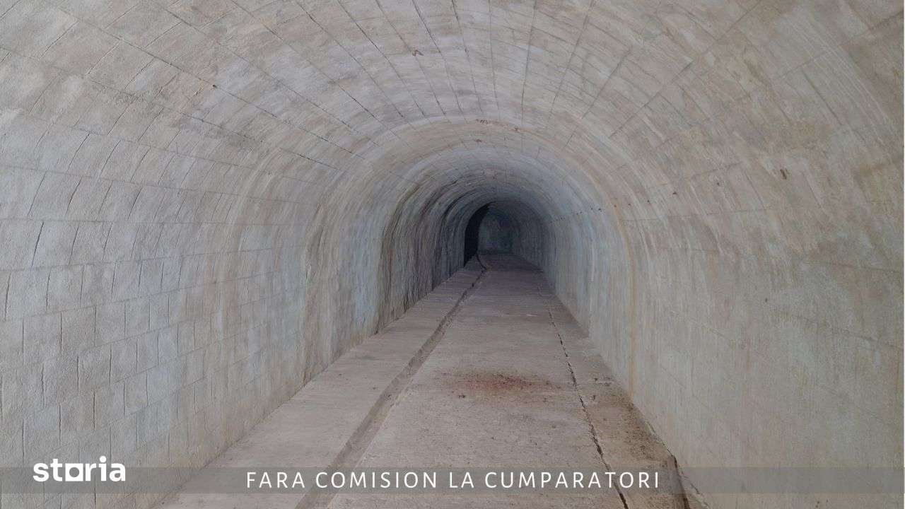 Poza 8