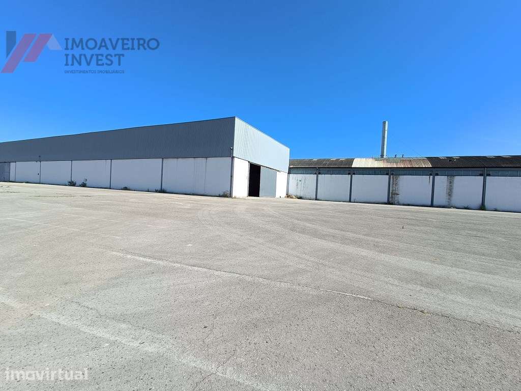 Armazém Industrial com escritórios Em Águeda - Grande imagem: 4/16
