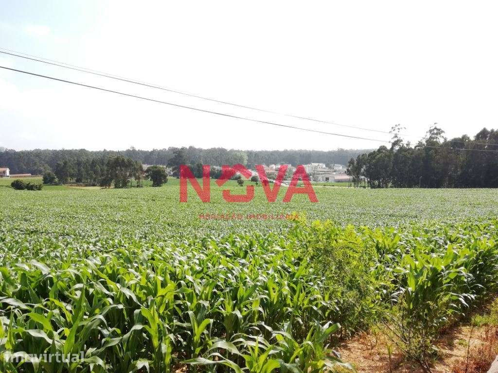 Terreno Urbano  Venda em Laundos,Póvoa de Varzim - Grande imagem: 3/3