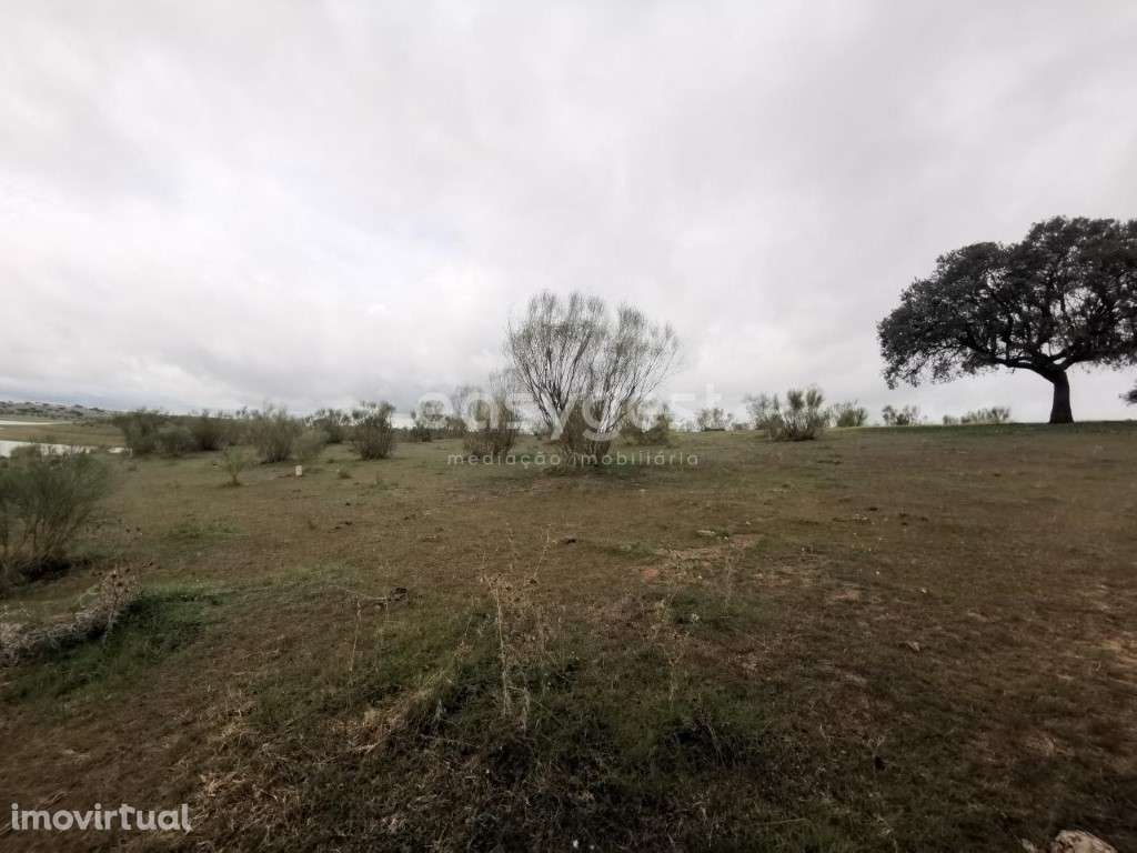 Terreno com 8ha nas margens do Alqueva - Chaminé - Reg. de Monsaraz - Grande imagem: 3/12
