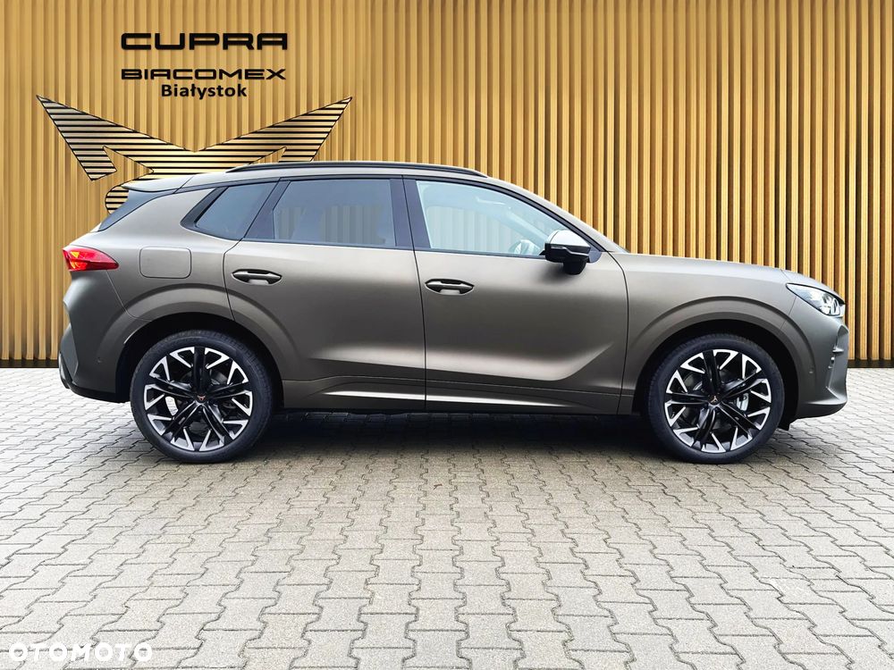 Cupra Terramar 2.0 TSI 4Drive Advantage Edition DSG - 7