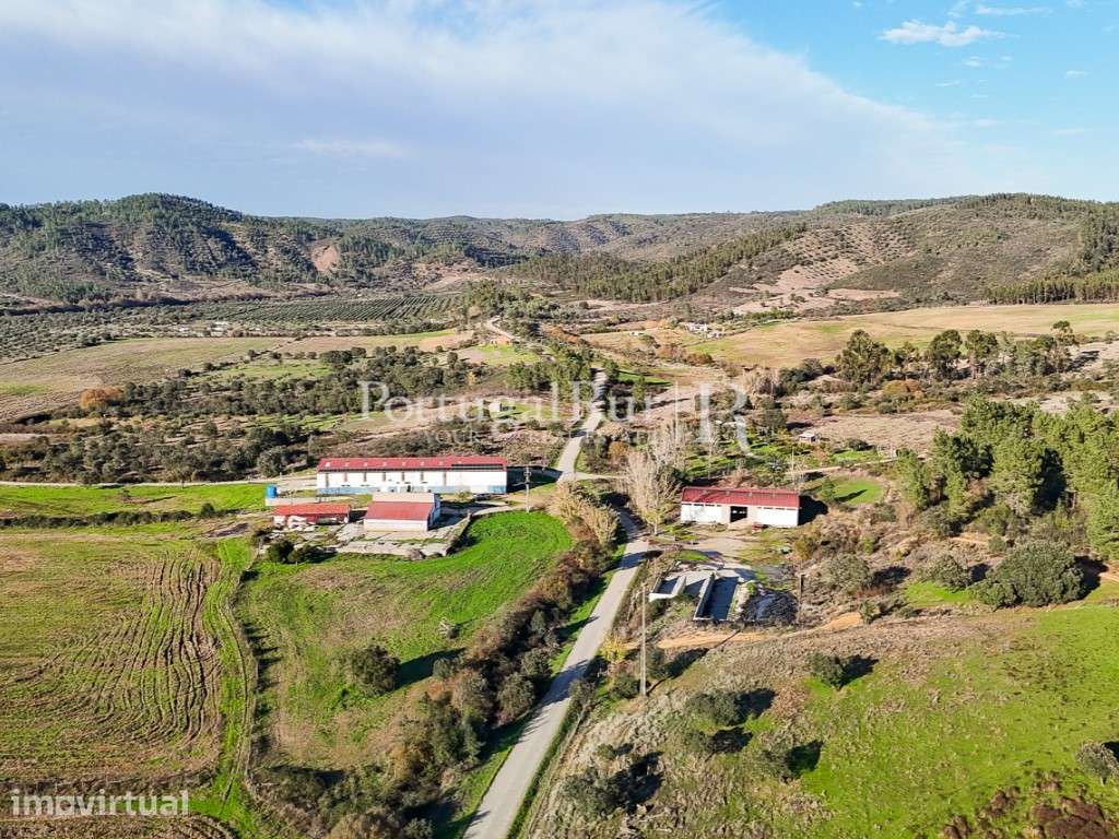 Herdade de regadio com 160 ha em Vila Velha de Ródão - Grande imagem: 5/60