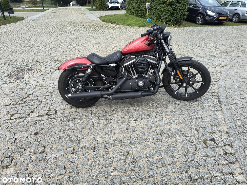 Harley-Davidson Sportster Iron 883 - 3