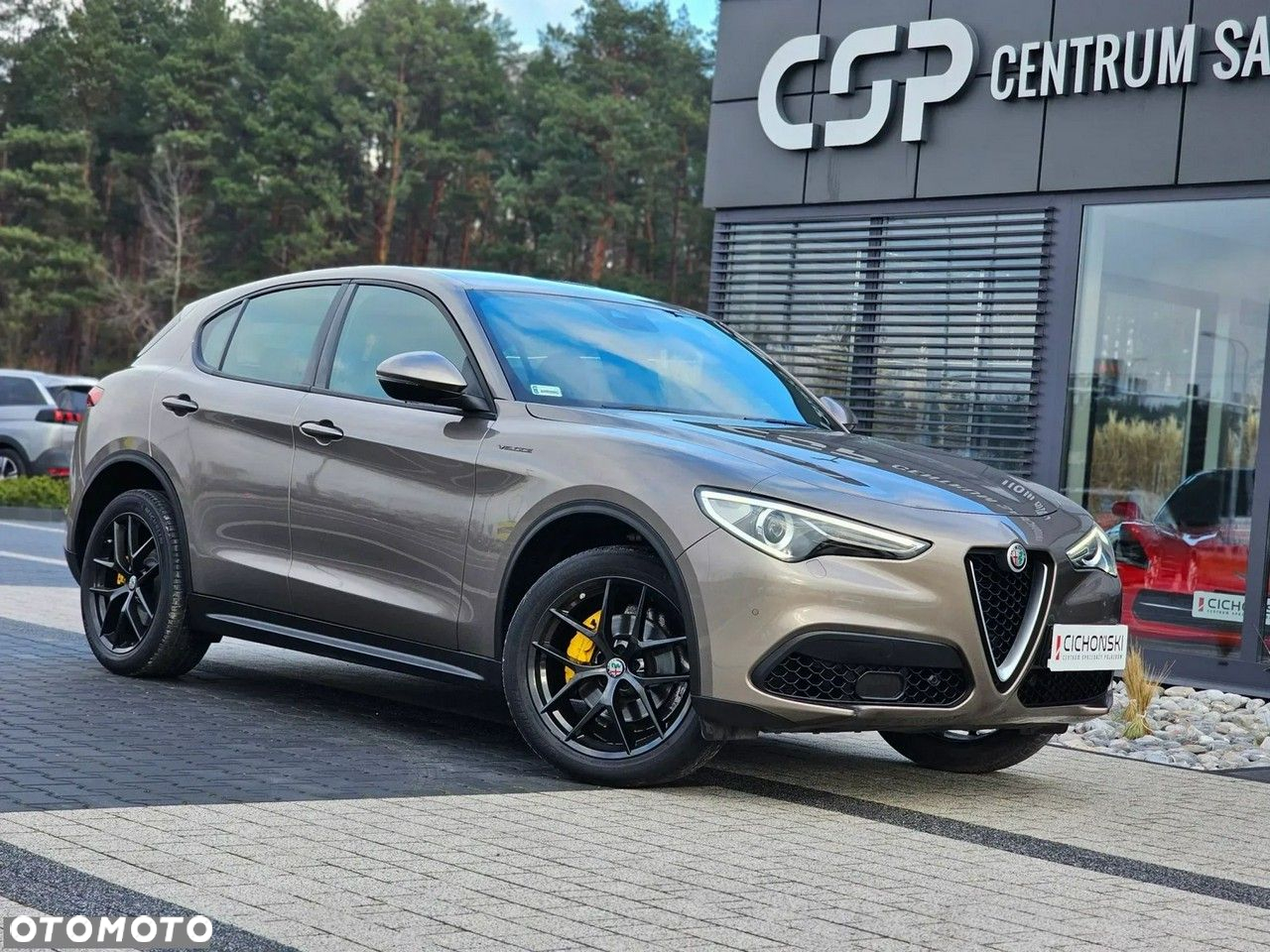 Alfa Romeo Stelvio 2.0 Turbo Veloce Q4