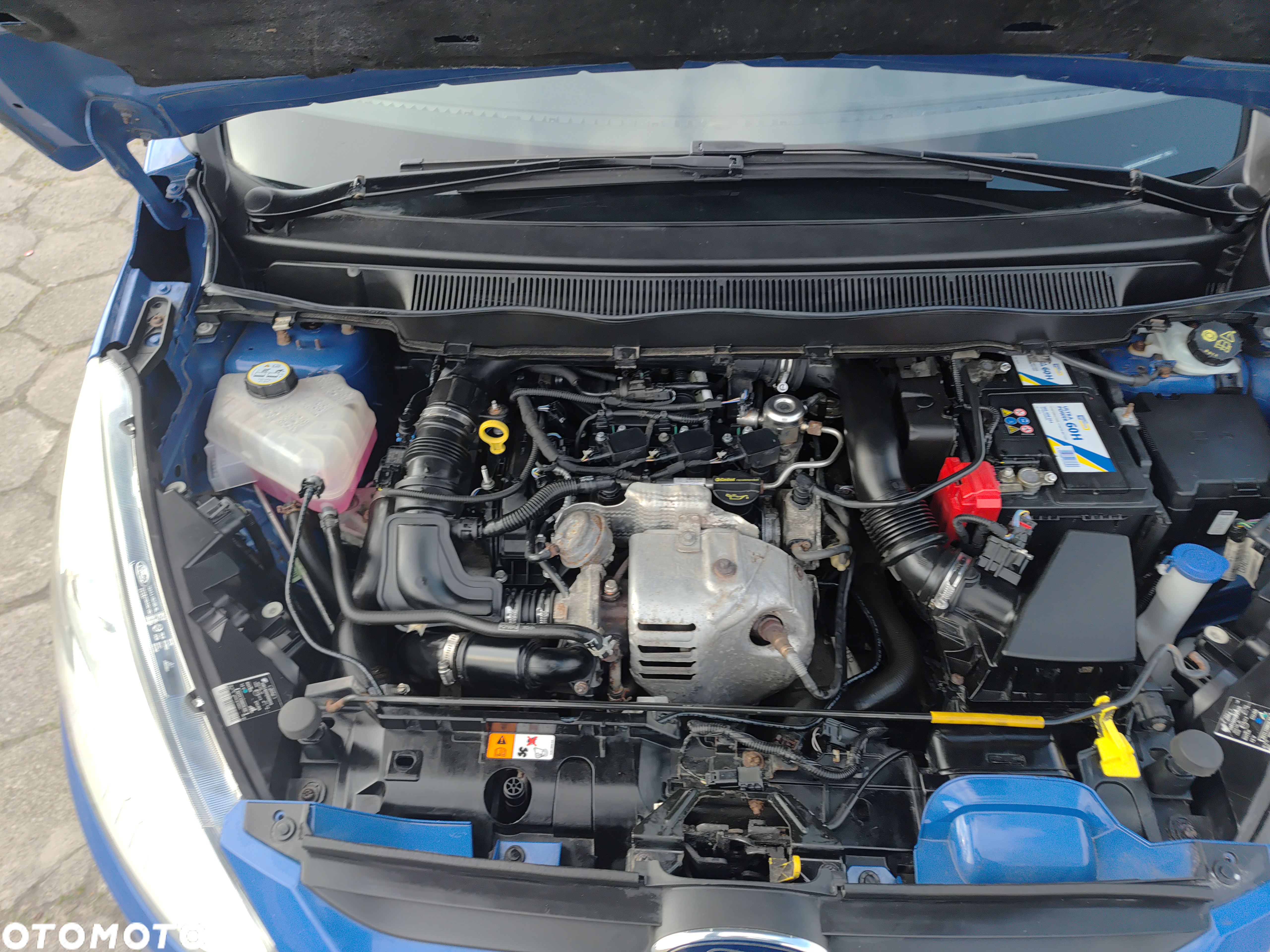 Ford B-MAX - 33