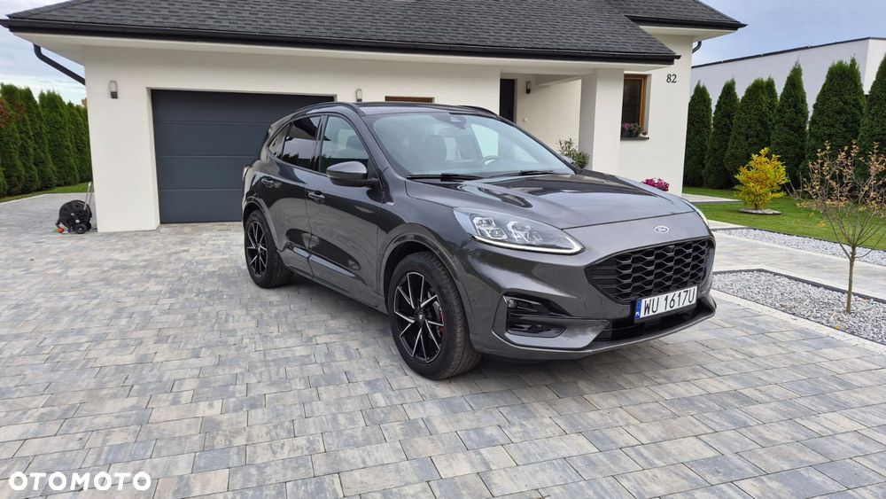 Ford Kuga 2020 photo 2