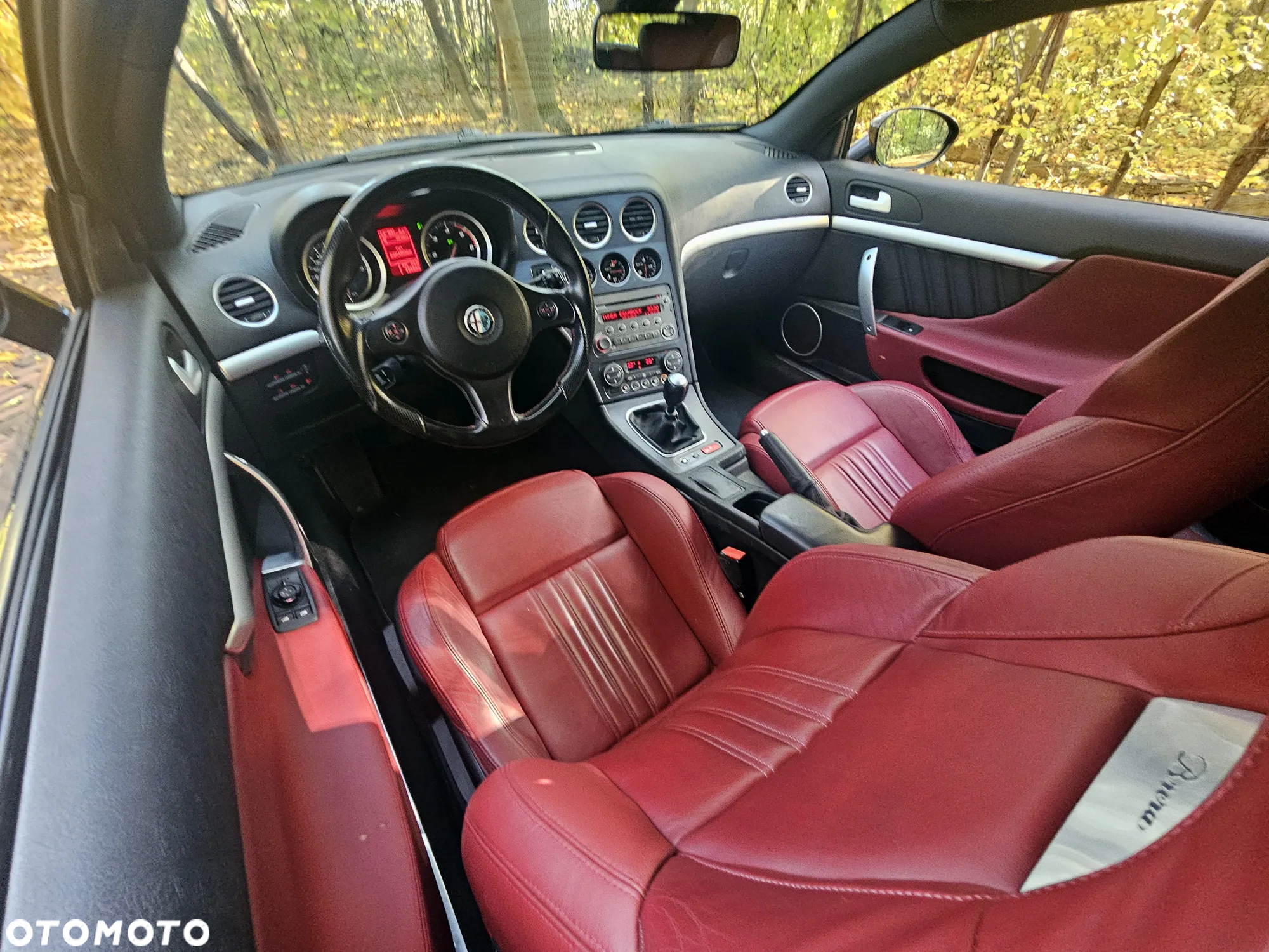 Alfa Romeo Brera 2.0JTDM - 15