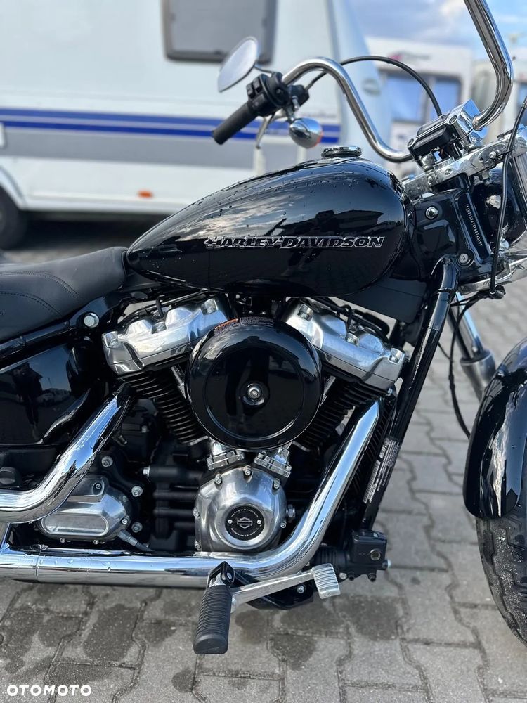 Harley-Davidson Softail Standard - 3