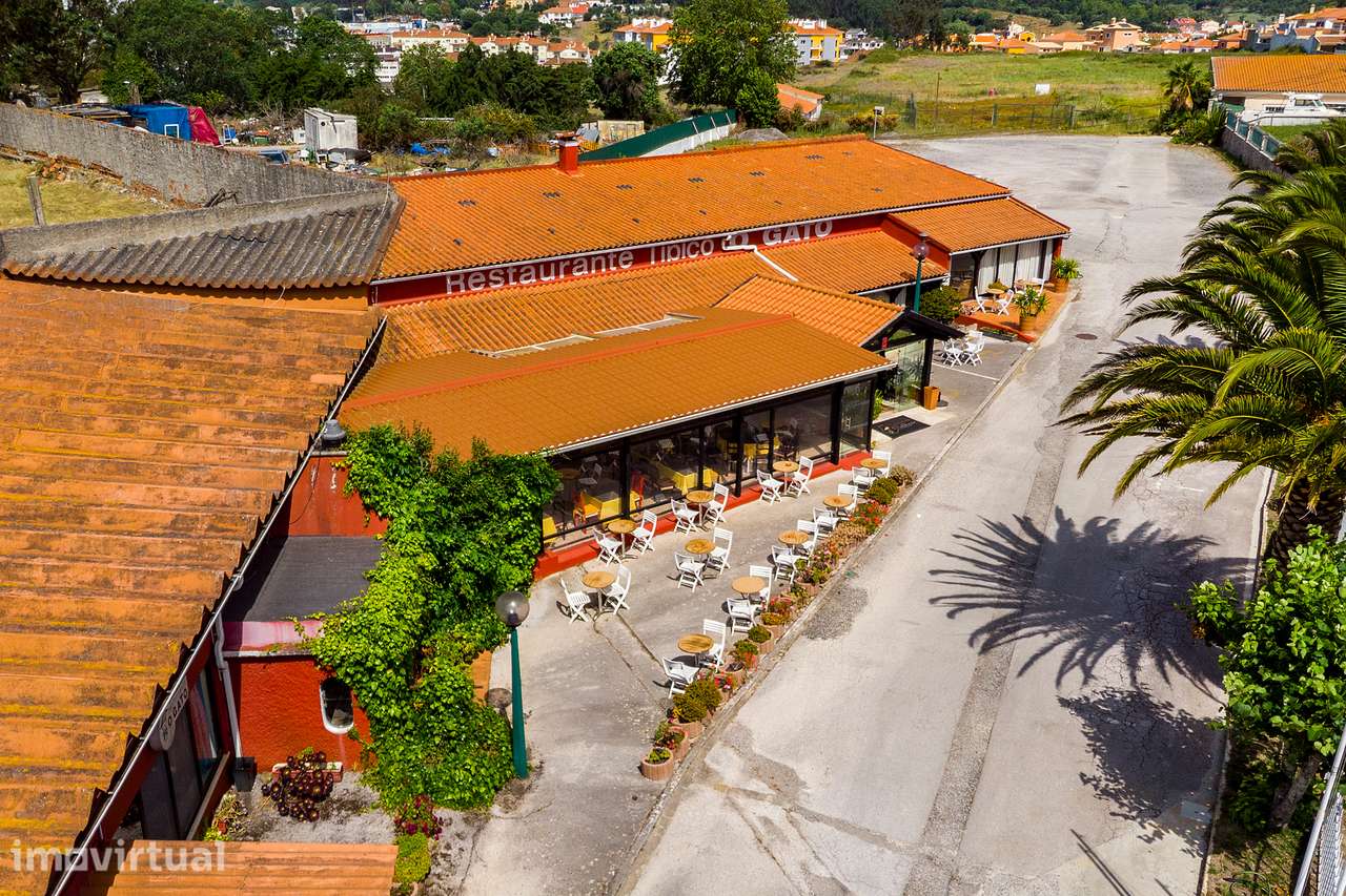 Restaurante "O Gato" , na Malveira - Onde a Tradição ganha sabor - Grande imagem: 4/30